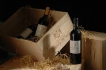 杭州夜场招聘-杭州服务生/管家商务夜场呐贤才