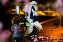 杭州夜场招聘/杭州商务KTV招聘联系携手同行