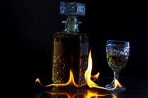 杭州夜场招聘/杭州报销路费最新酒促邀