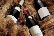 杭州ktv招聘杭州商务KTV才华与热情,