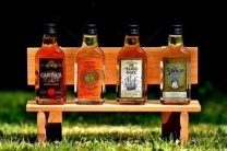 杭州夜场招聘/杭州舞蹈/气氛组常年无忧团队诚聘