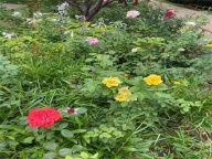 西安夜场招聘西安更好选择快速挣米日结算管住高薪日结