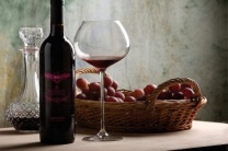 杭州夜场招聘/杭州礼仪模特商务KTV生意稳定