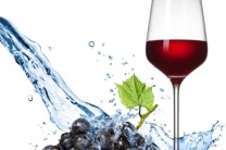 杭州夜场招聘/杭州KTV招聘信息共赴精彩人生之旅